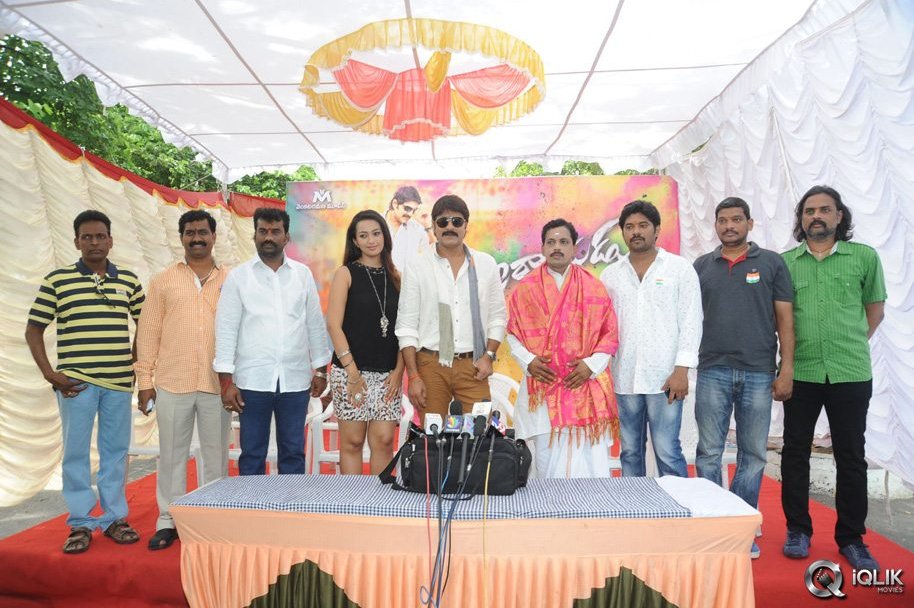 Jalsa-Rayudu-Movie-Opening